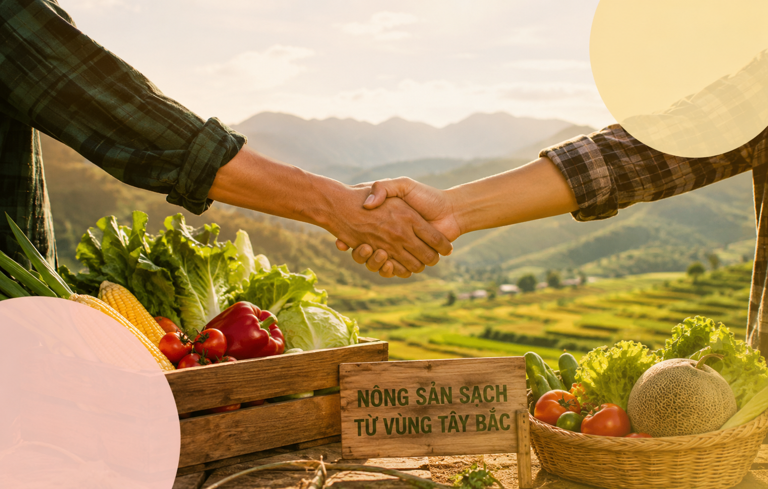Cơ hội hợp tác phân phối nông sản sạch từ vùng Tây Bắc