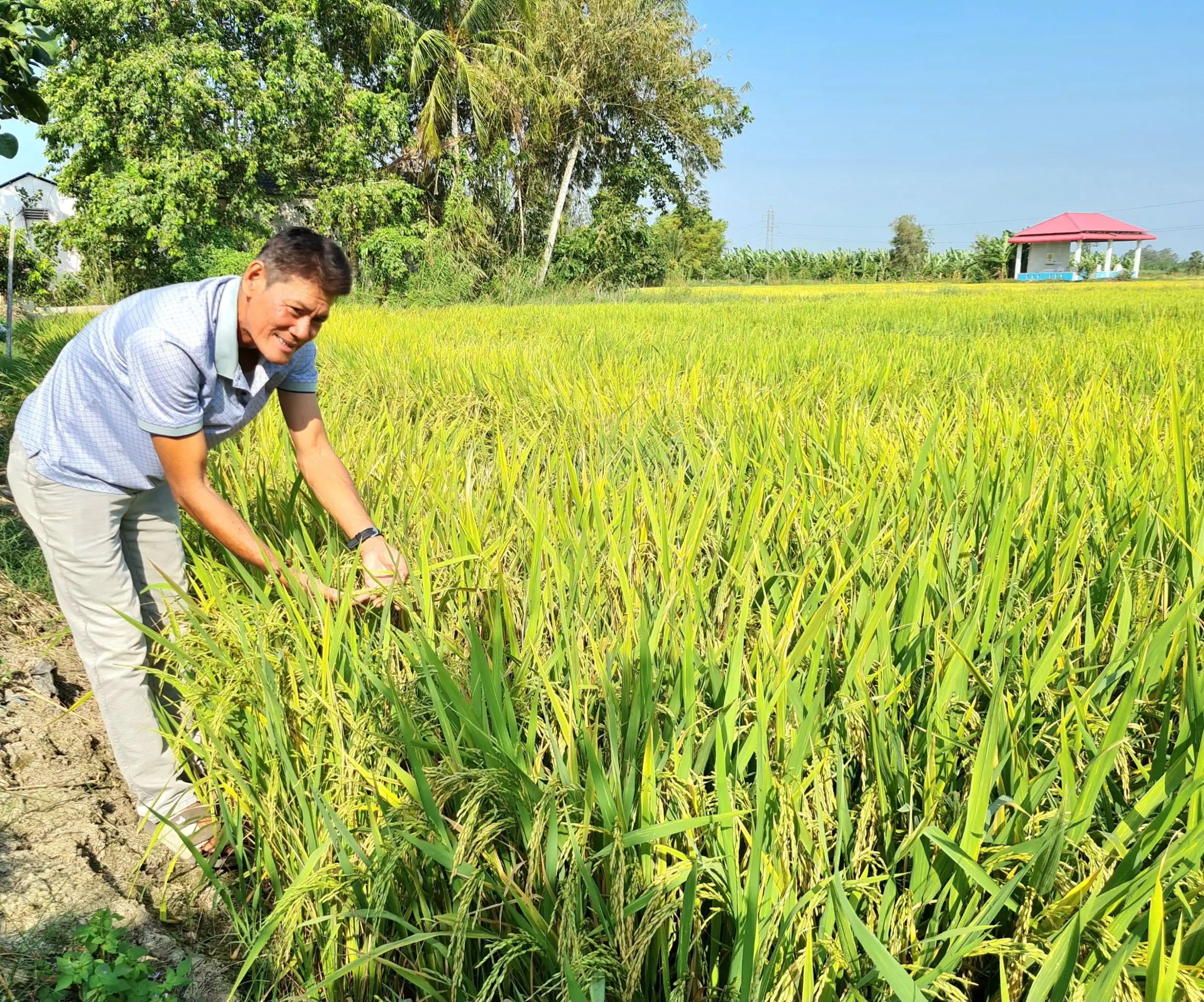Anh Đặng Văn Lời - Nông dân “Tỉ phú” từ mô hình kinh tế nông nghiệp tổng hợp