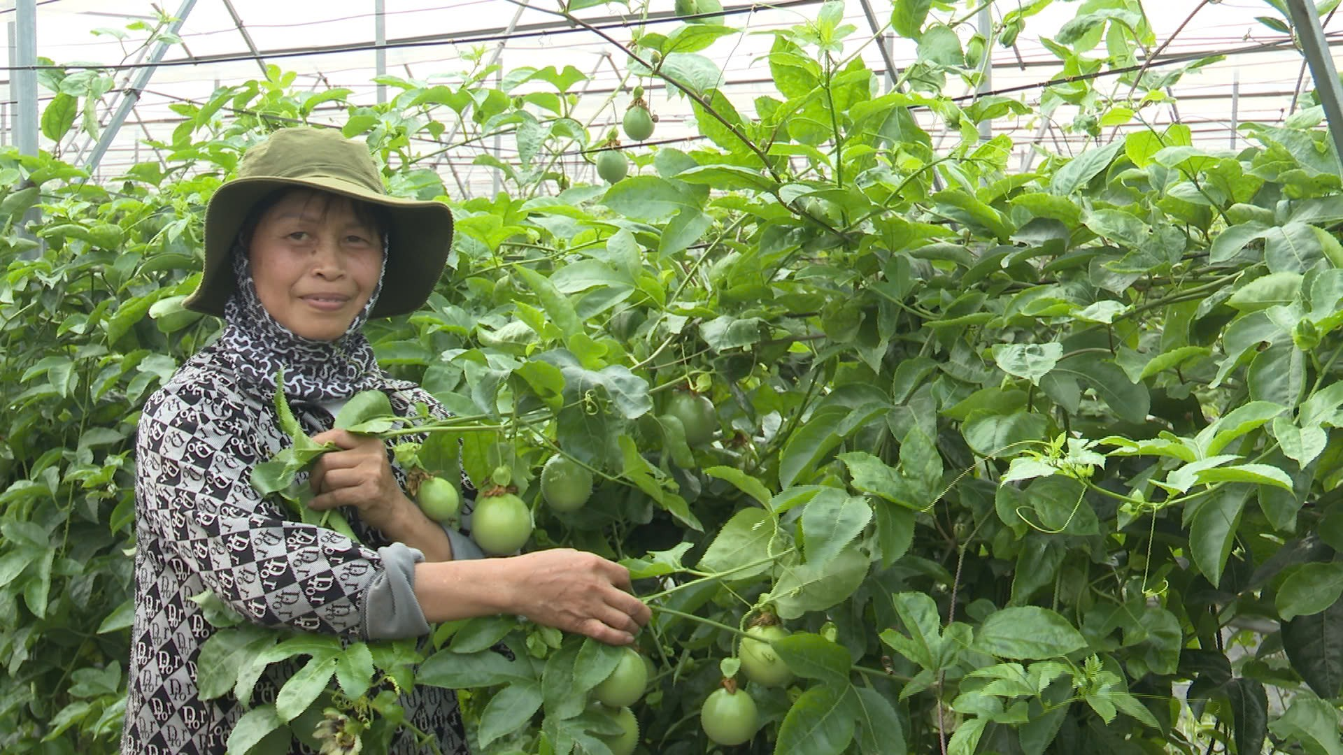 Chị Đặng Thị Cuối - Gương phụ nữ tiêu biểu trong phong trào phát triển kinh tế